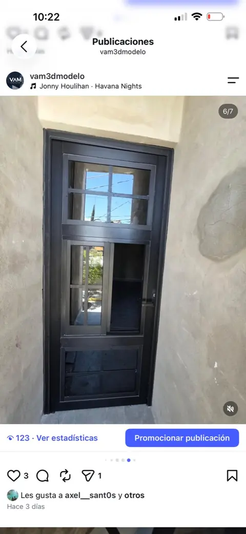 Puerta oscura con paneles y divisiones horizontales y verticales